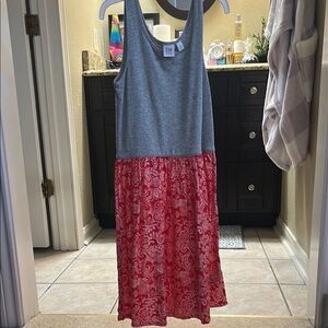 GAP Blue and Red Sleeveless Sundress